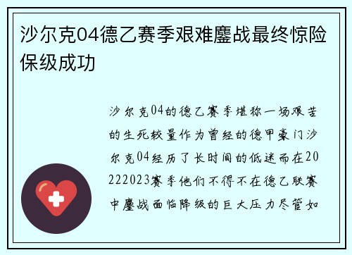 沙尔克04德乙赛季艰难鏖战最终惊险保级成功